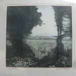 586 2339 ETCHING (F)